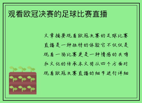 观看欧冠决赛的足球比赛直播